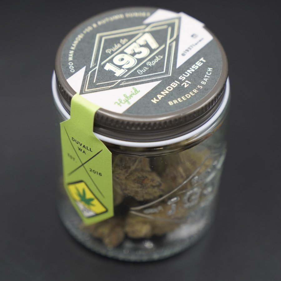 1937 Farms Kanobi Sunset 21 Breeder's Batch jar